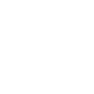 main-logo-white-transparent